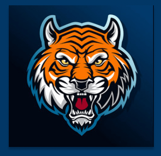 Angry Tiger icon