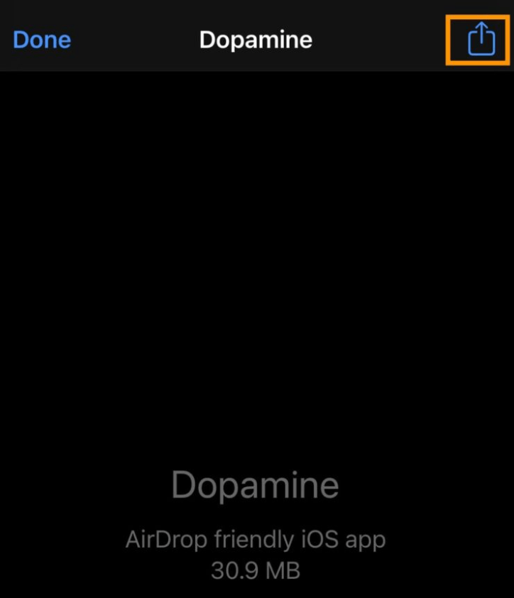 Install Dopamine Jailbreak Step 08