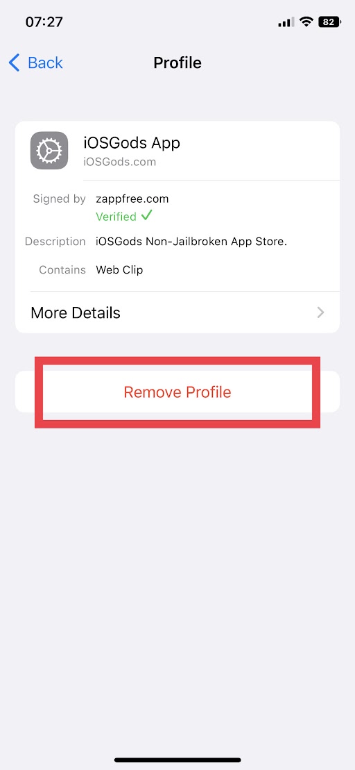 How to remove iOSGods App - Step 4
