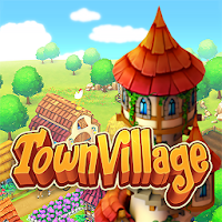Town Village IPA