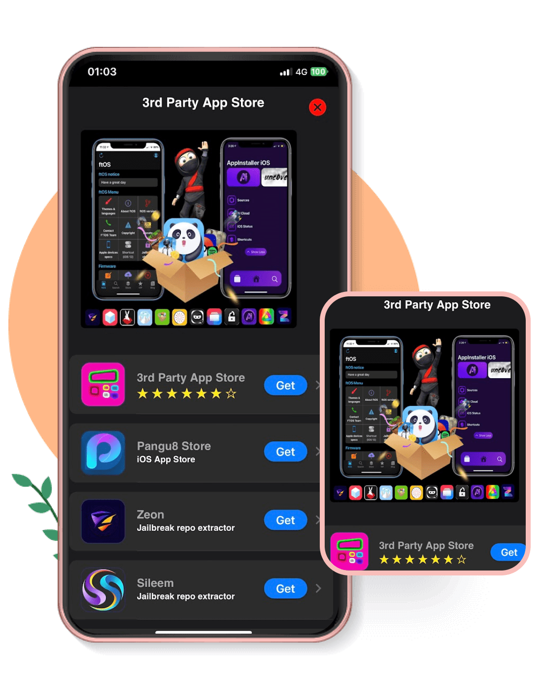3rd Party App Store